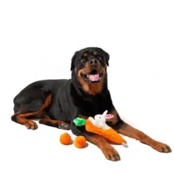 Midlee Hide A Toy Carrot Easter Dog Toy 9 Midlee Hide A Toy Carrot Easter Dog Toy -PawHut Store GUEST 6beae2d8 d9b1 42ca bccd 2578a0ff00d1