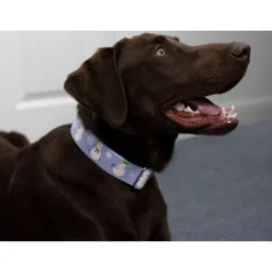 Country Brook Petz Snowman Martingale Dog Collar -PawHut Store GUEST 6d1bd9c7 1a2d 483d 9147 33c62737c49b