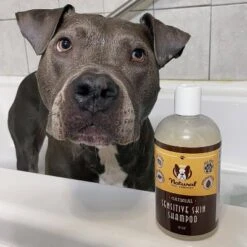 Natural Dog Company Sensitive Skin Shampoo - 12oz -PawHut Store GUEST 6d3ea2ed 7c19 4054 becf 40de21f02b6f