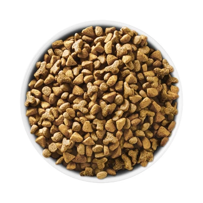 Purina ONE Indoor Advantage Real Salmon Dry Cat Food 1 Purina ONE Indoor Advantage Real Salmon Dry Cat Food