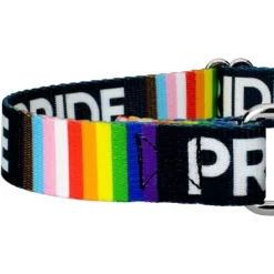 Country Brook Petz Pride Martingale Dog Collar -PawHut Store GUEST 6d683e98 919c 4daf a9a7 aeaf38aa3a38