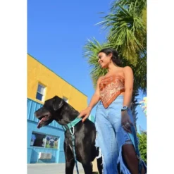 Black Rhino Dog Leash 5ft Ultra-Soft Neoprene Handle & Reflective Carabiner - Aqua