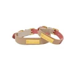 Pink Papyrus Lola Dog Collar