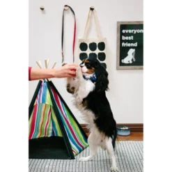 Cozy Pet Indoor Dog House -PawHut Store GUEST 6fd5bcfc cbff 4e39 8392 501ceafb0fe1