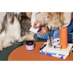 Wild One CALM Normal Stress & Relaxation Wellness Supplement Soft Chews For Dogs - 120ct -PawHut Store GUEST 707fd89e 4820 4c17 a1bb 3b4fc1623698