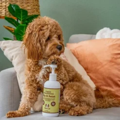 Natural Dog Company Liquid Glucosamine Food Dog Topper - Unflavoured - 32 Fl Oz -PawHut Store GUEST 70e8cbda 2213 408c b586 3f278012548e