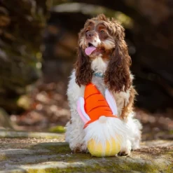 Midlee Easter Bunny Gnome Dog Toy -PawHut Store GUEST 71002b3f 1385 485c 9dc2 b027a616a680