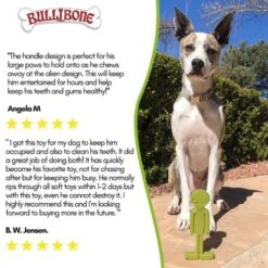 Bullibone Alien Chey Toy For Small Dogs -PawHut Store GUEST 7186d7b0 f171 4b08 a947 7524dde5d883