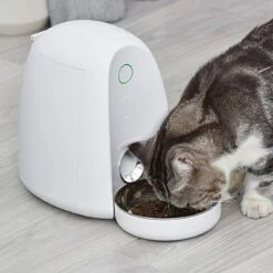Dogness Mini App Automated Pet Feeder -PawHut Store GUEST 73c38f8e 1bf2 4927 978d d0697be0455a