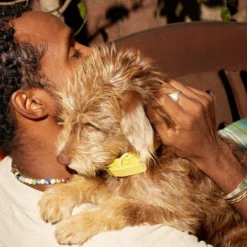 Native Pet Calming Air-Dried Chews With Chicken For Dogs - 60ct -PawHut Store GUEST 745a4cb5 a818 40c2 857d cc2b14ffe0b3