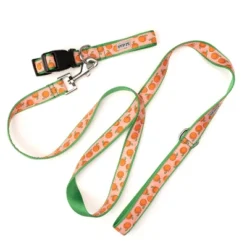 The Worthy Dog Peachy Keen Dog Leash