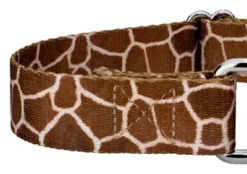 Country Brook Petz Giraffe Martingale Dog Collar -PawHut Store GUEST 75241b84 6785 44c9 9d4a c803f5ab74f4