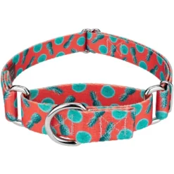 Country Brook Petz Tropical Tango Martingale Dog Collar -PawHut Store GUEST 75d52ca6 17a4 45e1 bb68 6c292740c19e