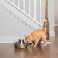 PetSafe Seaside Stainless Pet Fountain - Black 11 PetSafe Seaside Stainless Pet Fountain - Black -PawHut Store GUEST 7824b926 2a7a 4fa1 a926 1ef689cb4316