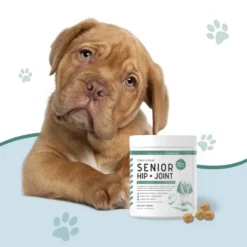 Chew + Heal Senior Hip And Joint Support, Dog Supplement, Aids Mobility, Joint & Cartilage Health - 120 Delicious Chews 9 Chew + Heal Senior Hip And Joint Support, Dog Supplement, Aids Mobility, Joint & Cartilage Health - 120 Delicious Chews -PawHut Store GUEST 78cea41e 6d23 4b97 9cc6 a372076ba00d