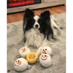 Midlee Snowball Fight Plush Dog Toy - 3" 5 Midlee Snowball Fight Plush Dog Toy - 3" -PawHut Store GUEST 7c68b361 a5bb 4dad 94a1 3288144751dc