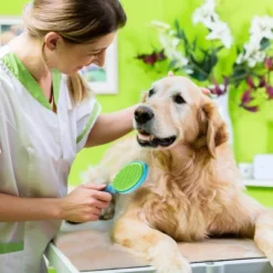 BOSHEL Dog Hair Brush & Pet Hair Remover – 2-In-1 Dog Grooming Brush With Safety Rounded Pins + Dog Hair Remover, Cleans The Hairy Mass -PawHut Store GUEST 7cad0347 e983 4b27 a1af f6f1b2be7ec6