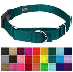 Country Brook Petz Durable Nylon Martingale With Deluxe Buckle - Made In The USA -PawHut Store GUEST 7dc2feef 6205 49c9 90e0 250f330bf953