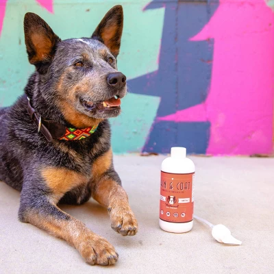 Natural Dog Company Skin & Coat Oil Food Topper - Salmon - 16oz 6 Natural Dog Company Skin & Coat Oil Food Topper - Salmon - 16oz - Image 6