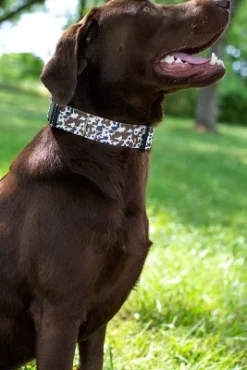 Country Brook Petz 1 1/2 Inch Deluxe Cow Print Dog Collar