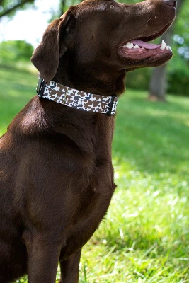 Country Brook Petz 1 1/2 Inch Deluxe Cow Print Dog Collar 1 Country Brook Petz 1 1/2 Inch Deluxe Cow Print Dog Collar