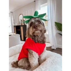 Midlee Strawberry Dog Costume -PawHut Store GUEST 7ee72a9a b952 4282 a6a0 76085d5f4f92