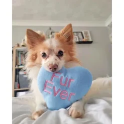 Midlee Candy Heart Valentine's Dog Toy- Set Of 4 -PawHut Store GUEST 810ca8de 9947 4b03 92d4 1bf440366819