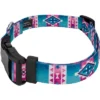 Country Brook Petz Albuquerque Deluxe Dog Collar And Leash