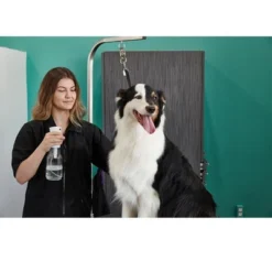 Groomer Essentials Continuous Spray Bottle 24 Oz.