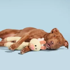 BARK Big Al Paca Dog Toy 12 BARK Big Al Paca Dog Toy -PawHut Store GUEST 852711b5 e6a8 4b4e 9cde 792d25f2f21d