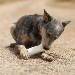 Pawstruck Filled Dog Bones Variety Pack - Made In USA Stuffed 3 To 6" Femur Dog Chews, American Made - 3 Flavors -PawHut Store GUEST 853b0cc2 d6b5 4a56 abe3 d9ba37c9b0a2