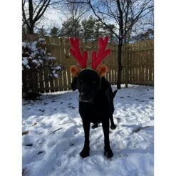 Midlee Christmas Reindeer Antlers With Ears For Large Dogs -PawHut Store GUEST 869e1043 d68f 4f5e 9a71 2e5f60c3e61f