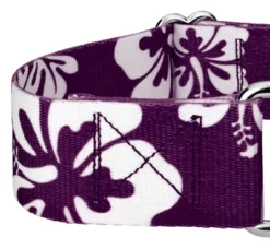 Country Brook Petz 1 1/2 Inch Purple Hawaiian Martingale Dog Collar -PawHut Store GUEST 86ae3e04 a372 4447 8f66 37893e0e3057