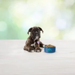 Blue Buffalo Freedom Grain Free With Chicken, Peas & Potatoes Puppy Dry Dog Food - 11lbs 10 Blue Buffalo Freedom Grain Free With Chicken, Peas & Potatoes Puppy Dry Dog Food - 11lbs -PawHut Store GUEST 8757146a 789c 4c33 9808 a17db9fe8a4d