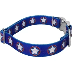 Country Brook Petz Premium American Stars Dog Collar And Leash 8 Country Brook Petz Premium American Stars Dog Collar And Leash -PawHut Store GUEST 877c0ed0 8f96 4fd3 bf8b 36081d914833