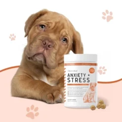 Chew + Heal Calming Anxiety Treats, Dog Supplement, Stress Relief For Travel, Storms & Fireworks - 120 Delicious Chews -PawHut Store GUEST 89692753 f359 4693 998e ff9d15b10014