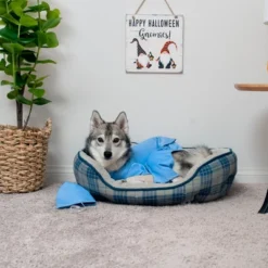 Midlee Scrubs Dog Costume - (XXX-Large) -PawHut Store GUEST 8c76f48f 88c1 4c72 800e 8b21c834ab82