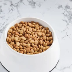 Nutro So Simple Beef Dry Dog Food -PawHut Store GUEST 8e6056b4 0665 4dfb a0c2 f76c2f7bf11a