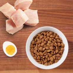 IAMS Proactive Health Urinary Tract Health With Chicken Adult Premium Dry Cat Food