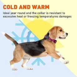 Dogline Biothane Waterproof Collar With QR Buckle Pink -PawHut Store GUEST 91413c40 3b23 40bc b665 089e1a83e0d1