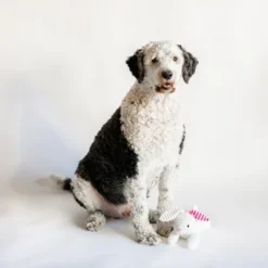 Midlee Stripe Ears White Easter Rabbit Dog Toy -PawHut Store GUEST 9187fe2e e971 4236 8ea1 4926f0f14aeb