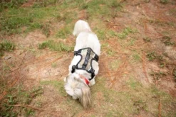 Doggy Tales Realtree 2X Sport Harness Edge