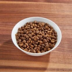 IAMS Proactive Health Hairball Care With Chicken & Salmon Adult Premium Dry Cat Food -PawHut Store GUEST 92072f47 4d85 4361 8ba2 0e63297325c3