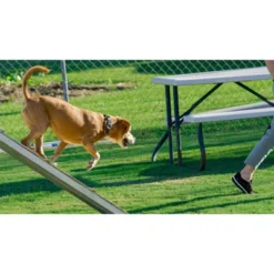 Country Brook Petz Woodland Camo Martingale Dog Collar -PawHut Store GUEST 922be64b 9e27 4d7d b92e f623f38b3209