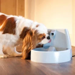 PetSafe Original Fountain -PawHut Store GUEST 926db689 ef0a 4869 8de3 cf8cee10a495