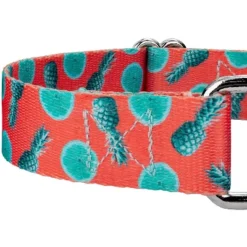 Country Brook Petz Tropical Tango Martingale Dog Collar -PawHut Store GUEST 9286ffcd 7c95 4230 b48e e9a665d62a04