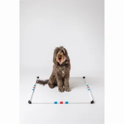 Midlee Dog Agility Pause Box