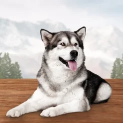 Blue Buffalo Wilderness Bones Mini Dog Treats - 27oz -PawHut Store GUEST 945c4f79 edca 4c3a 8153 bc52bf597db0