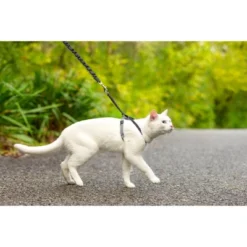 PetSafe Come With Me Kitty And Bungee Adjustable Leash Cat Harness - Blue -PawHut Store GUEST 953b43e6 13c6 464f 97c8 c326de5a8a27