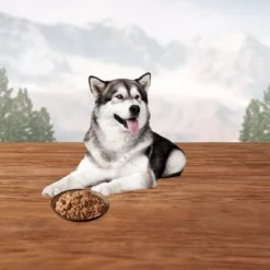 Blue Buffalo Wilderness Grain Free Wet Dog Food Snake River Grill With Trout Fish, Venison & Rabbit - 12.5oz/12ct Pack -PawHut Store GUEST 9591bcfc 6446 487b a8d6 88c90b305c9a